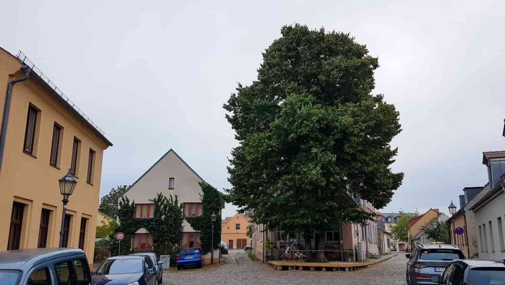 kolonialwarenladen_duval_werder_havel