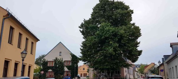 kolonialwarenladen_duval_werder_havel