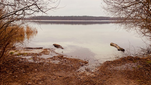 plessowersee_14022023_foto_werderanderhavel_de_berndreiher