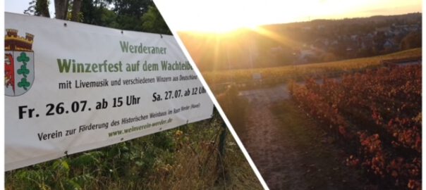 werder havel winzerfest wachtelberg 2024 Bild: Bernd Reiher, werderanderhavel.de