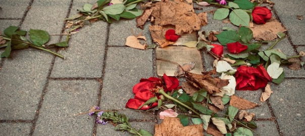 werder havel 9 november stolperstein