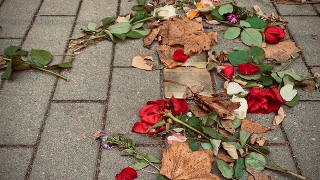 werder havel 9 november stolperstein