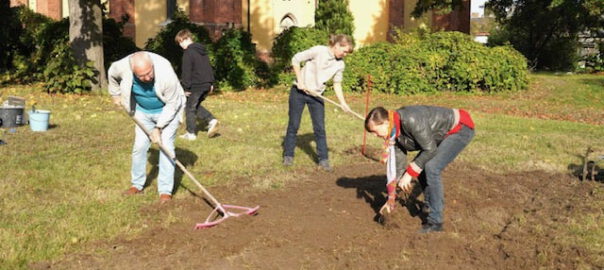 Nabu-Aktive am Freitag bei der Pflanzaktion_Foto_Stadt Werder (Havel)_hkx -min