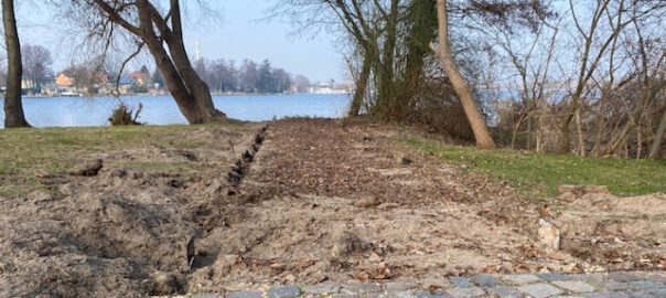 werder havel insel steg badestelle foto bernd reiher werderanderhavel.de