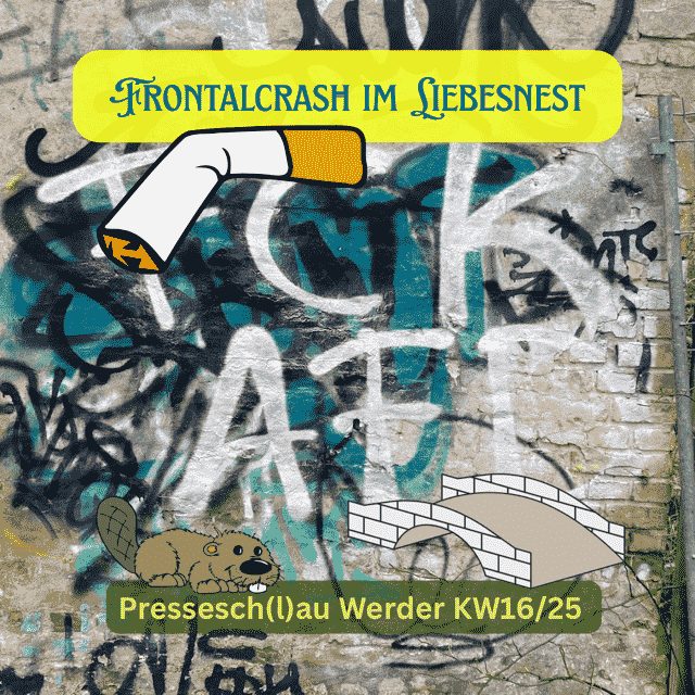 Frontalcrash Liebesnest presseschau werder