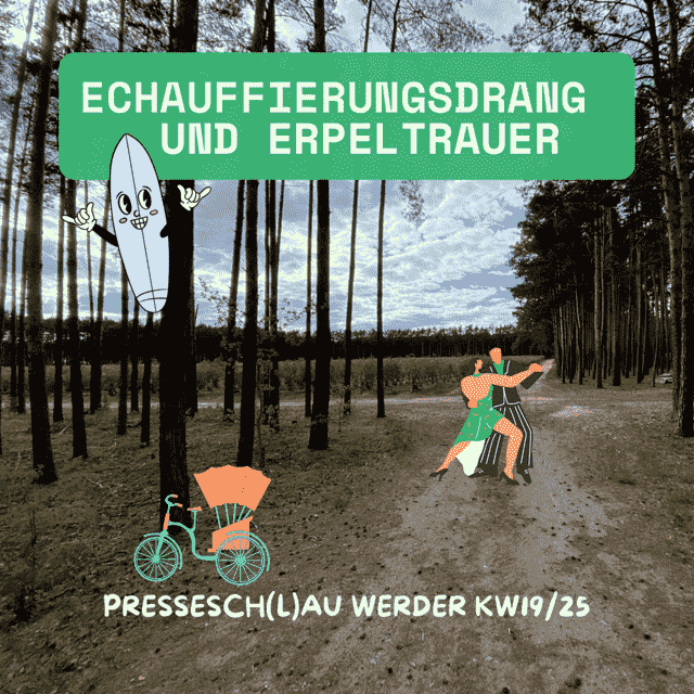 pressesch(l)au werder havel kw 19/25