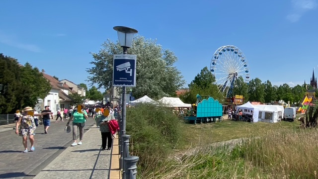 werder havel baumblütenfest 2025 foto bernd reiher werderanderhavel.de