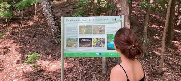 werder havel Naturlehrpfad Glindower Alpen_Sarah Bude-naturschutzfonds brandenburg