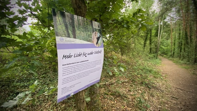 werder havel glindower alpen foto bernd reiher werderanderhavel.de