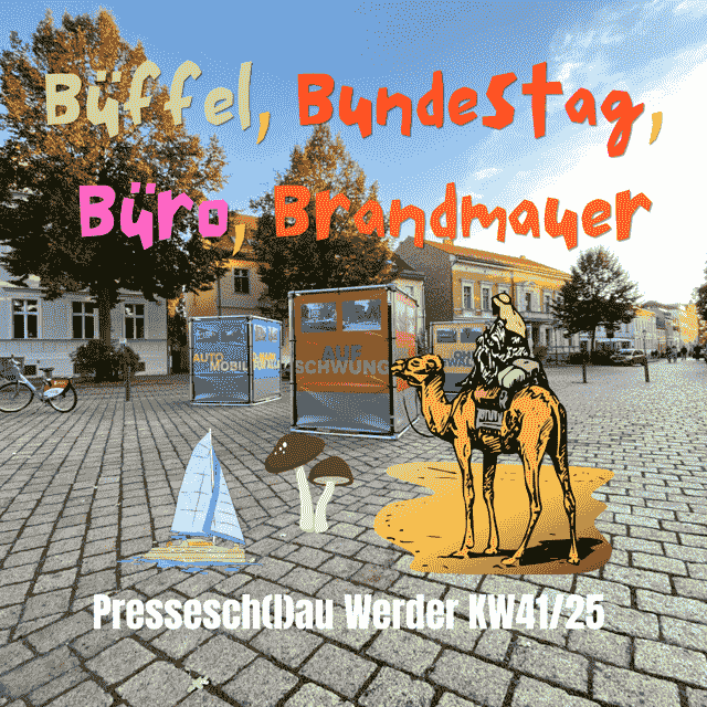 werder havel presseschau 4125