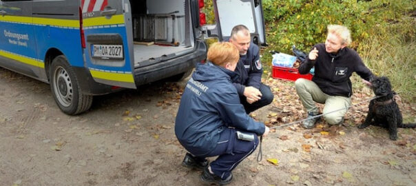 werder havel Mitarbeiter Ordnungsamt Training mit Hundeschule Werder_Foto_Stadt Werder_Havel_mw