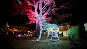 werder havel weihnachtsmarkt 2025 foto bernd reiher werderanderhavel.de