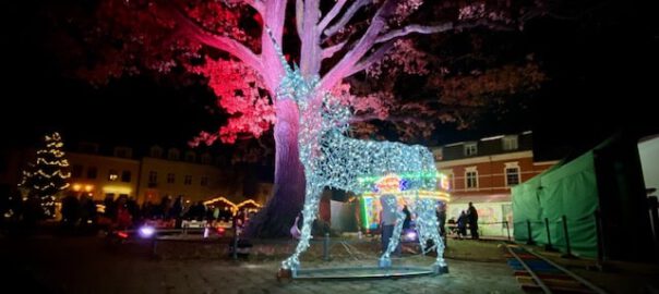 werder havel weihnachtsmarkt 2025 foto bernd reiher werderanderhavel.de