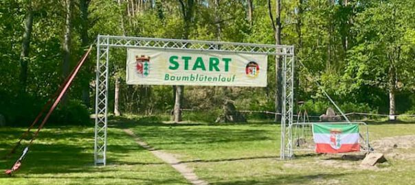 werder havel baumblütenlauf foto berndreiher werderanderhavel.de