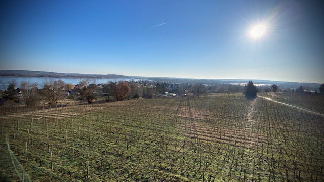 werder havel blick vom weinberg foto berndreiher werderanderhavel.de